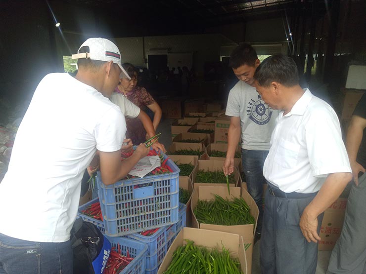 Z6·尊龙凯时(中国区)人生就是搏!