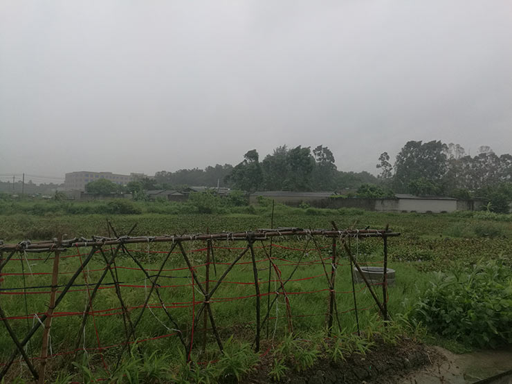 Z6·尊龙凯时(中国区)人生就是搏!