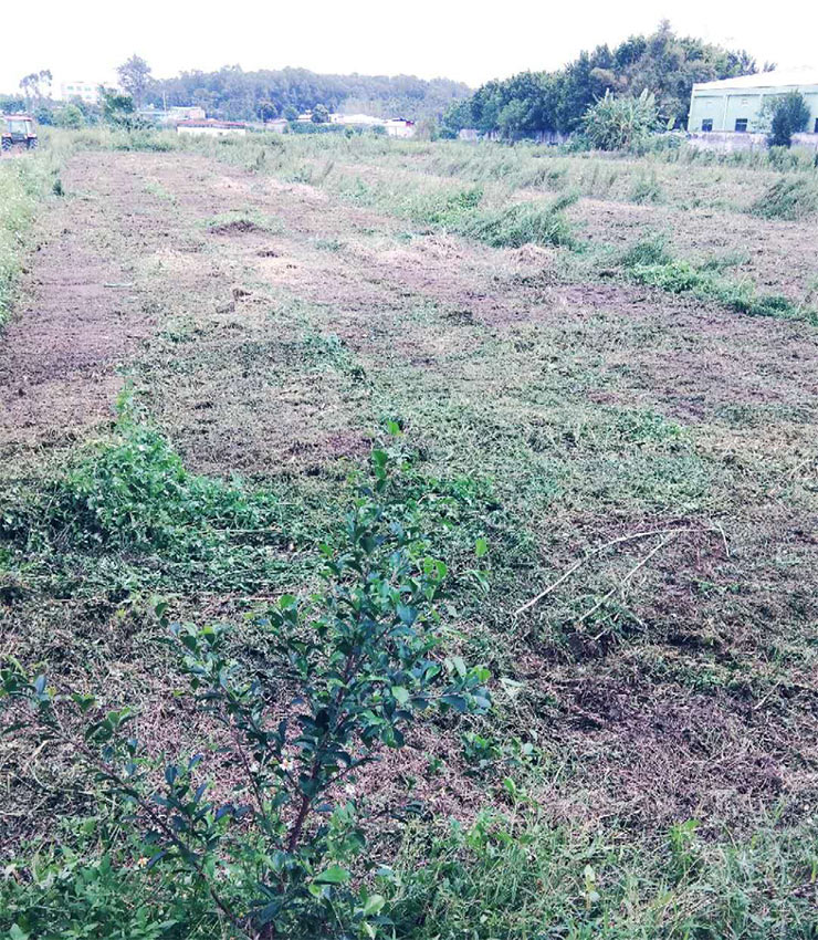 Z6·尊龙凯时(中国区)人生就是搏!