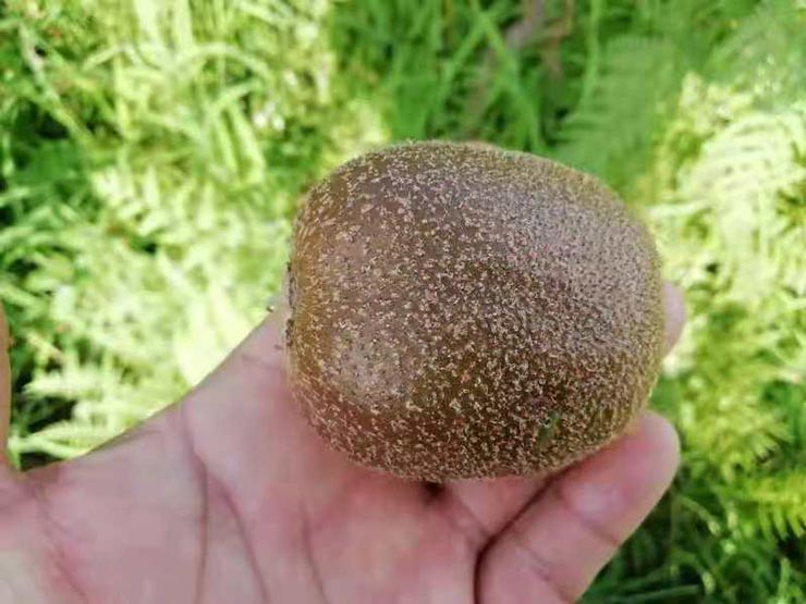 Z6·尊龙凯时(中国区)人生就是搏!