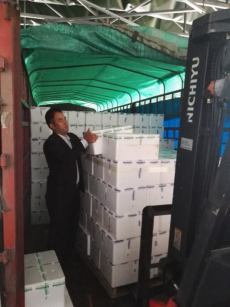 Z6·尊龙凯时(中国区)人生就是搏!