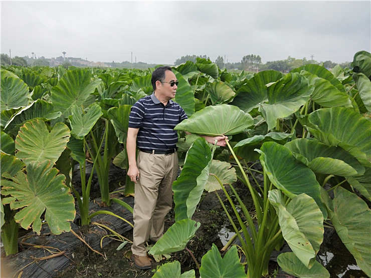 Z6·尊龙凯时(中国区)人生就是搏!