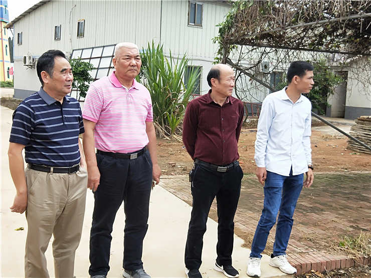 Z6·尊龙凯时(中国区)人生就是搏!