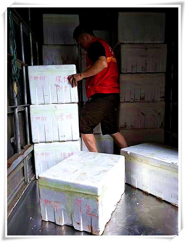 Z6·尊龙凯时(中国区)人生就是搏!