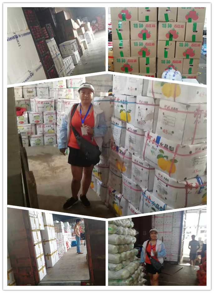 Z6·尊龙凯时(中国区)人生就是搏!