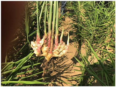 Z6·尊龙凯时(中国区)人生就是搏!