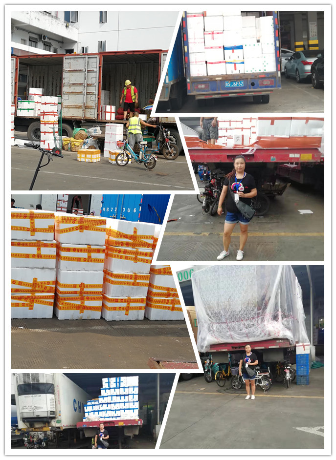 Z6·尊龙凯时(中国区)人生就是搏!