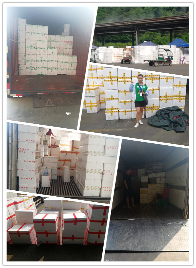 Z6·尊龙凯时(中国区)人生就是搏!