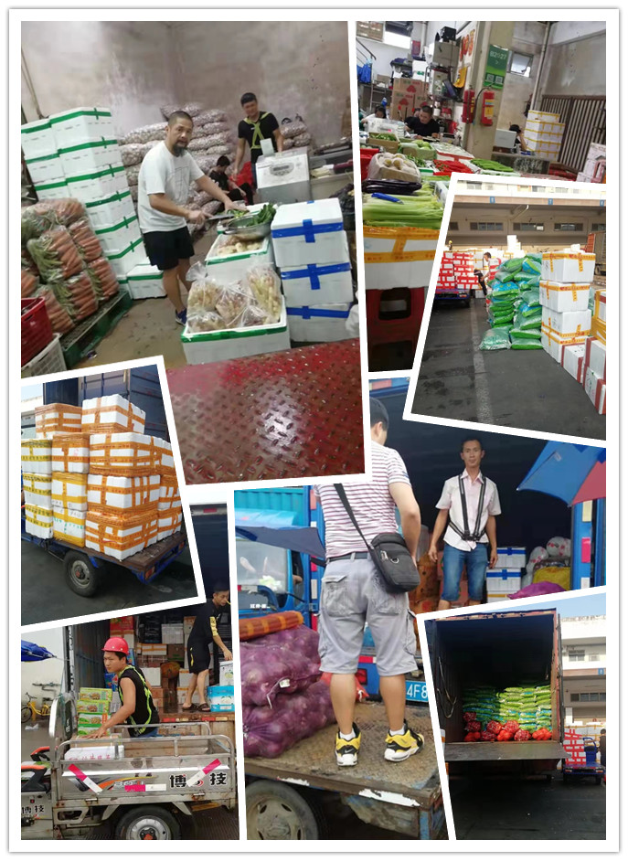 Z6·尊龙凯时(中国区)人生就是搏!