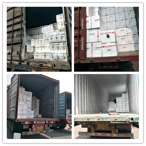 Z6·尊龙凯时(中国区)人生就是搏!