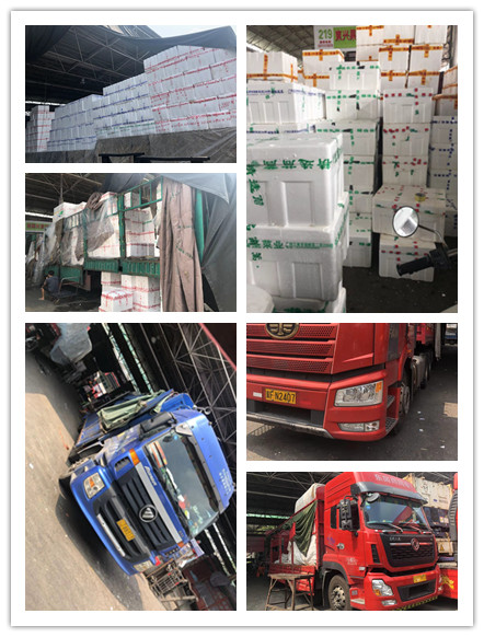 Z6·尊龙凯时(中国区)人生就是搏!