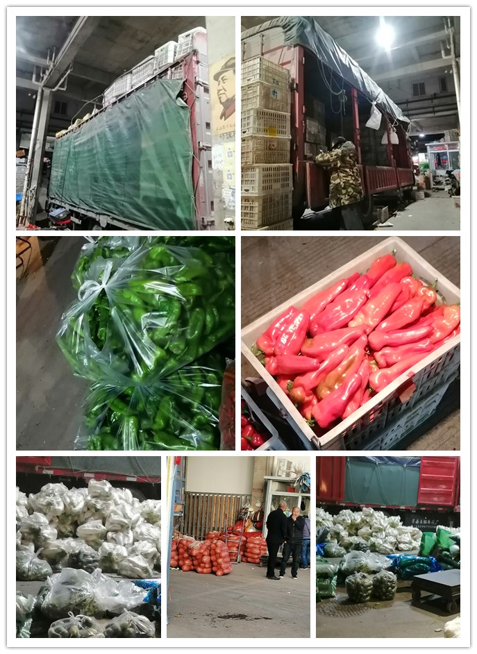 Z6·尊龙凯时(中国区)人生就是搏!