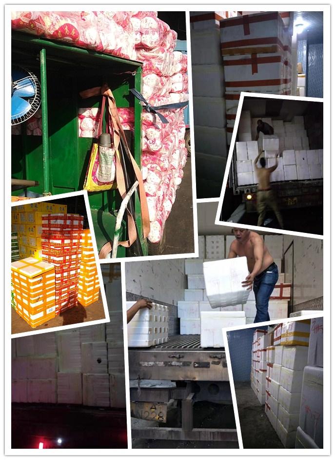 Z6·尊龙凯时(中国区)人生就是搏!