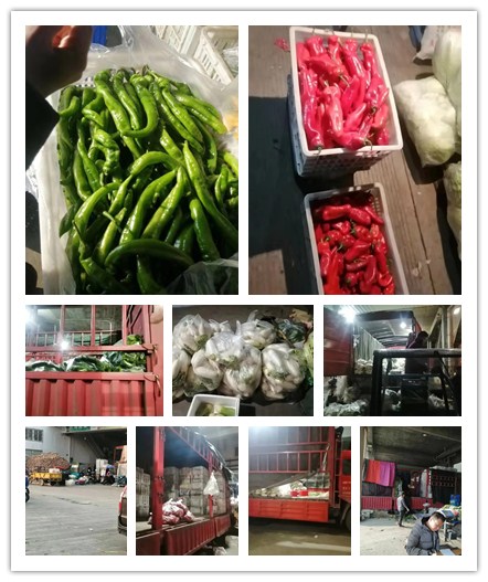 Z6·尊龙凯时(中国区)人生就是搏!