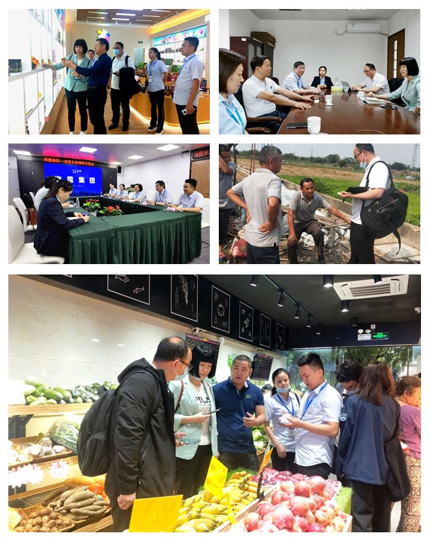 Z6·尊龙凯时(中国区)人生就是搏!