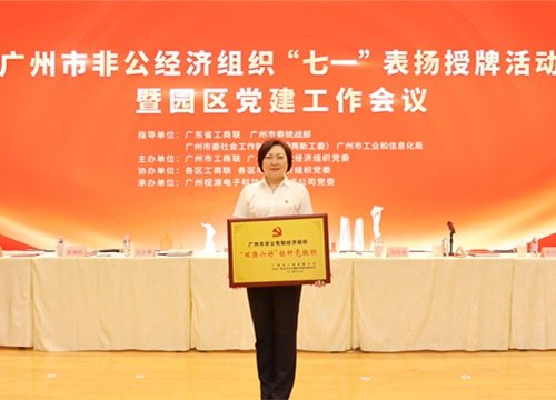 标杆引领，荣誉升级！集团党支部荣膺广州市非公有造经济组织“双强六好”标