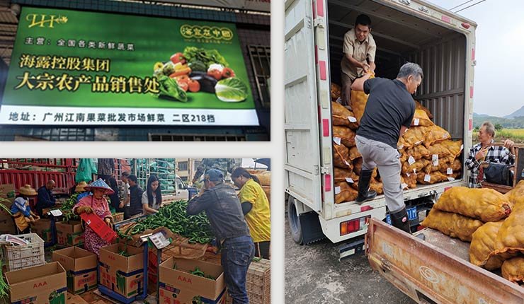 Z6·尊龙凯时(中国区)人生就是搏!