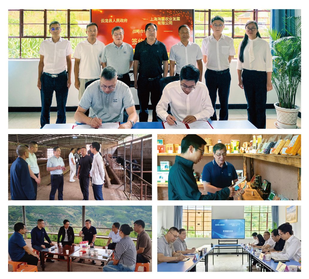 Z6·尊龙凯时(中国区)人生就是搏!